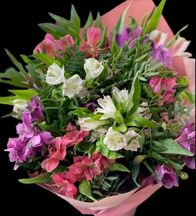 Mixed Alstroemeria