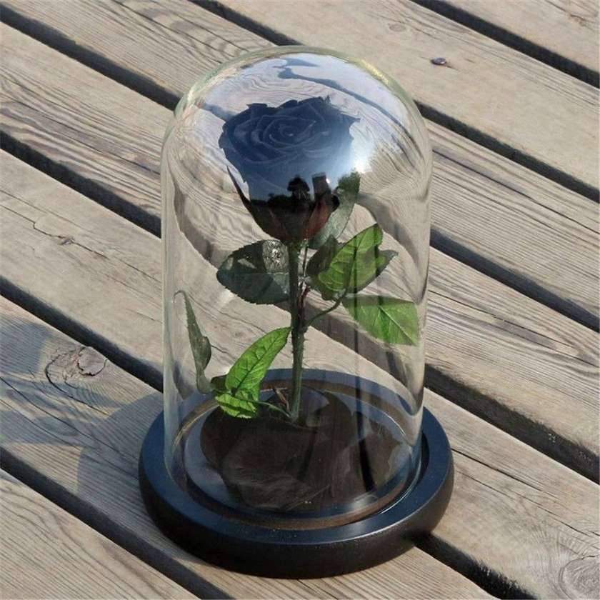 Black Preserved Rose in Dome