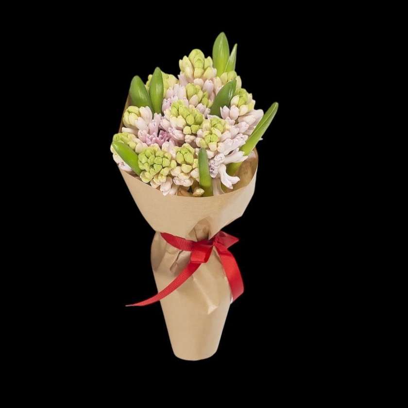 11 Pink Dutch Hyacinths