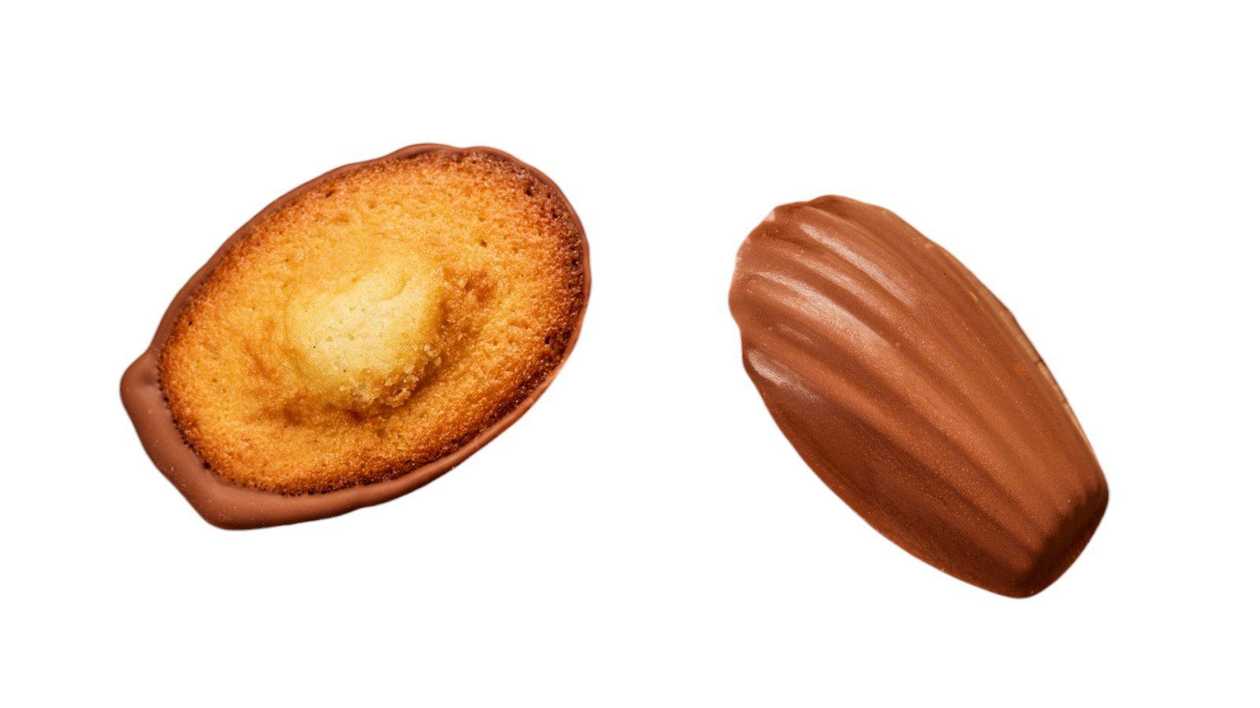 Madeleine with Milk Chocolate