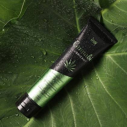 Lubrificante à base de Água - Cannabis - Intt (100 ml)