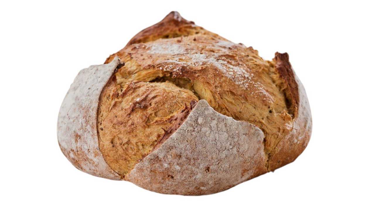 Soleo Bread