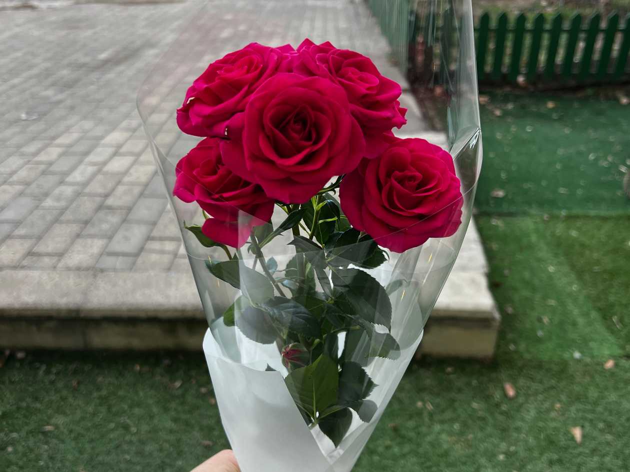 Spray Rose