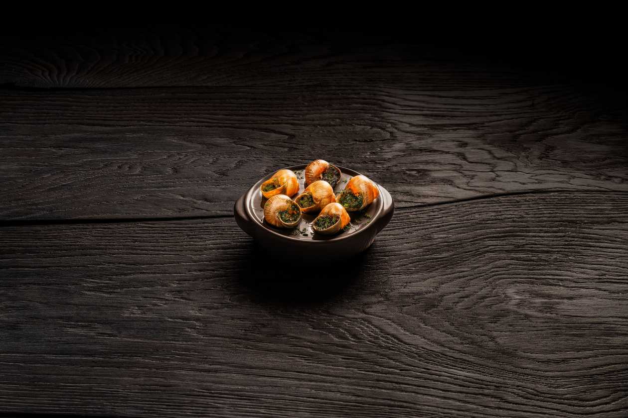 Selection of Lithuanian snails