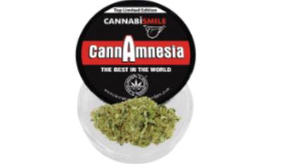 Amnesia 3G