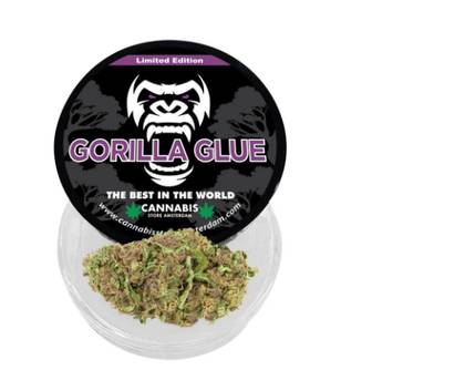 Gorilla Blue 1G