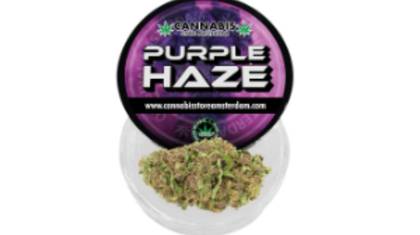 Purple Haze