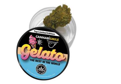 Gelato