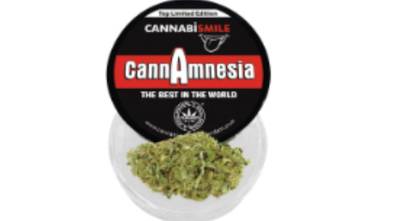 Amnesia 1G