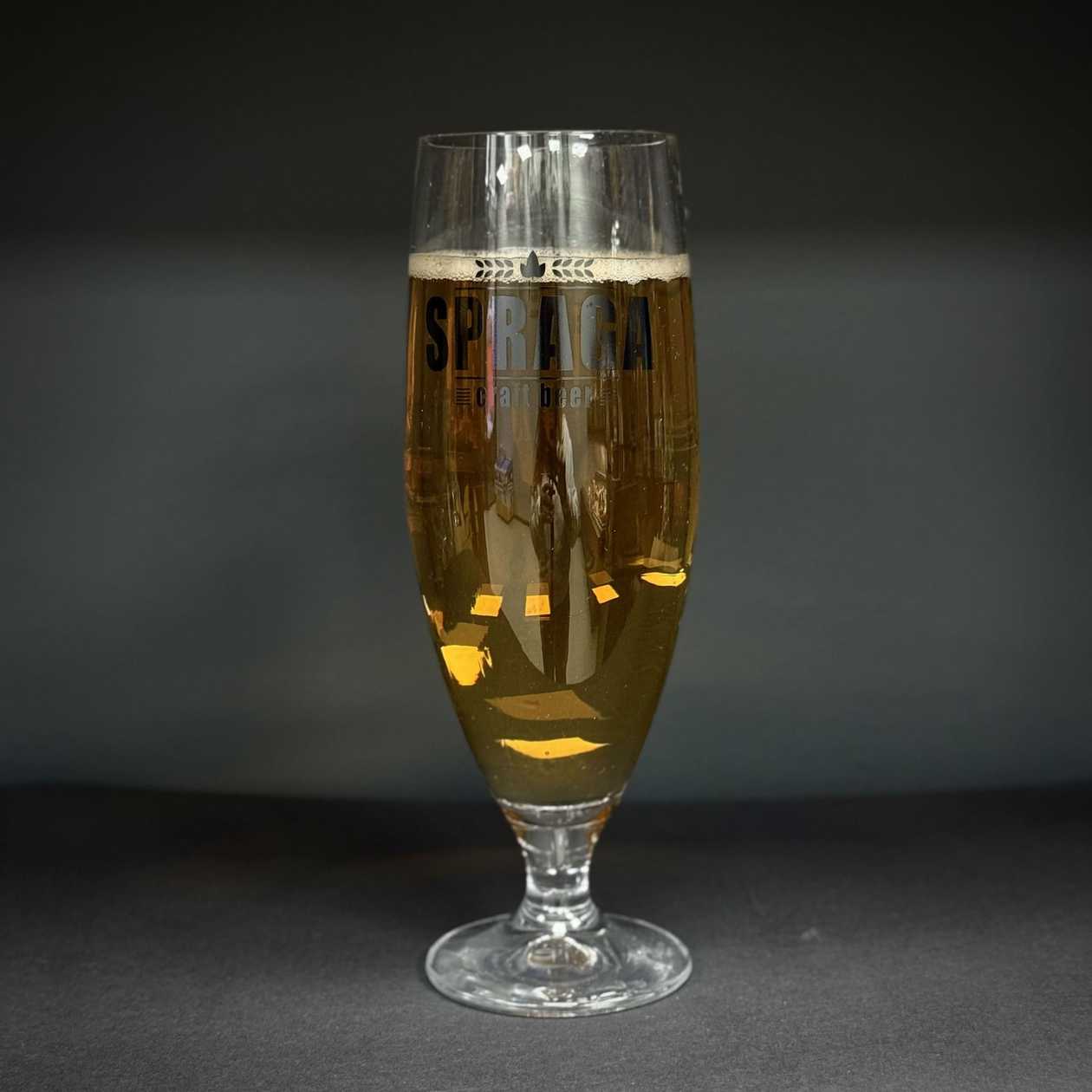 Сидр Золотоноша "Диня"