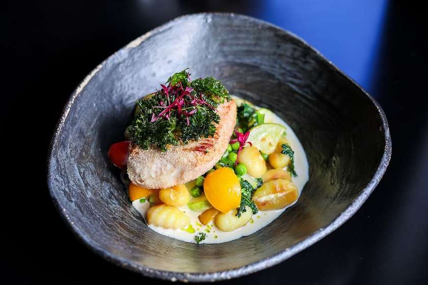 Смажене філе сома та ньокі з овочами