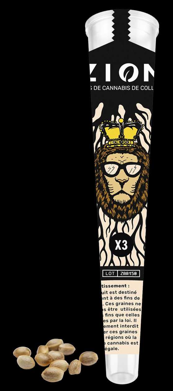 ZION Seeds - Amnesia