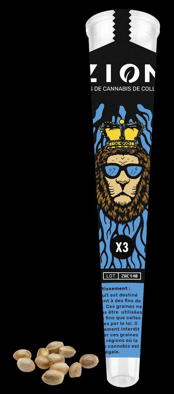 ZION Seeds - Amnesia Cordobesa