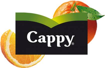 Сік Cappy 0,5л