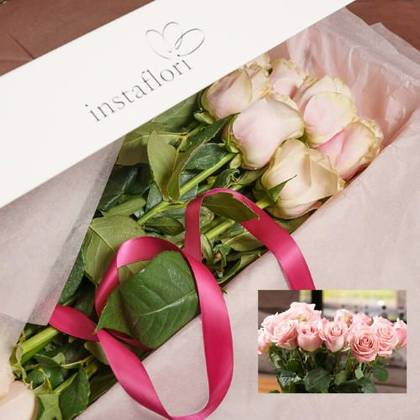 Cutie 11 Trandafiri Roz