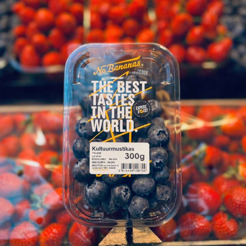 Cultivated Blueberries Morocco