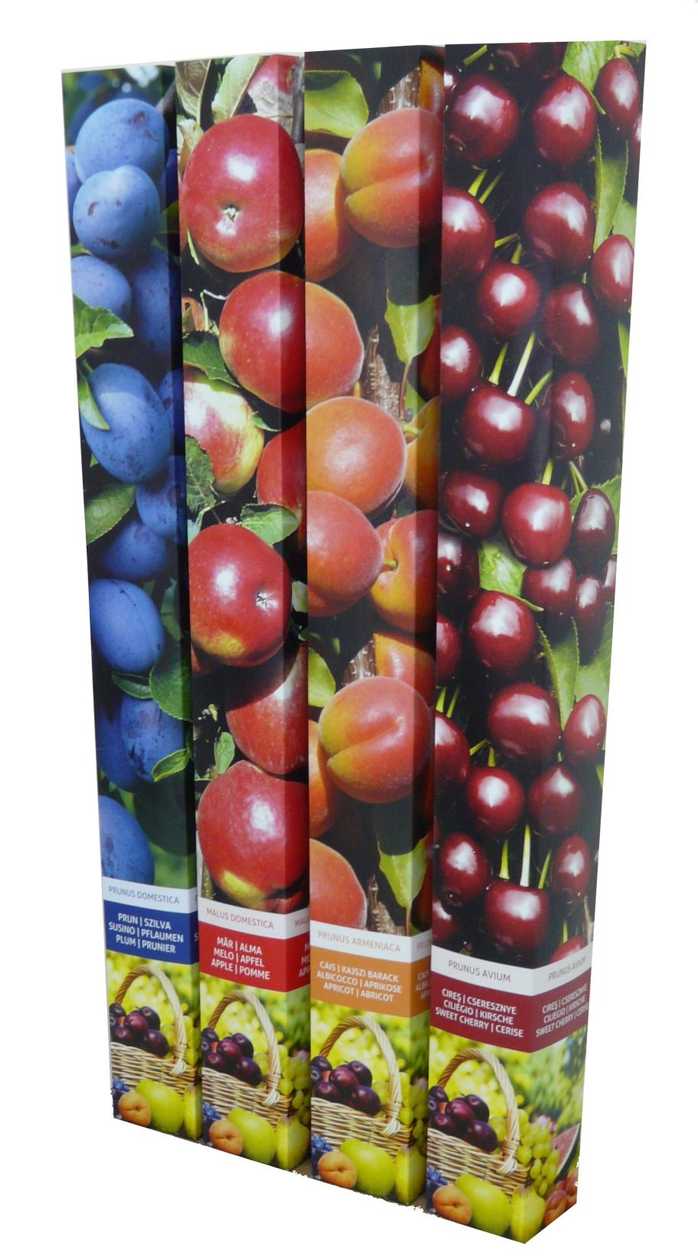 Pomi fructiferi la cutie mixt