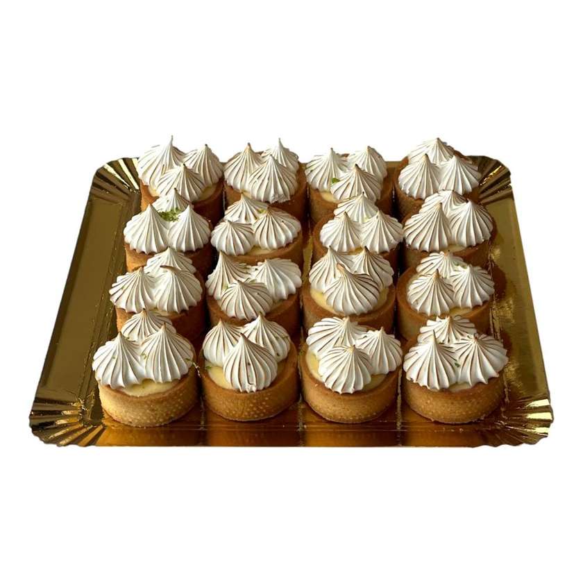 Platou Minitarte lamaie si bezea