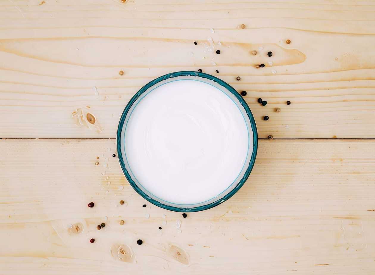 Garlic-yoghurt sauce 100g