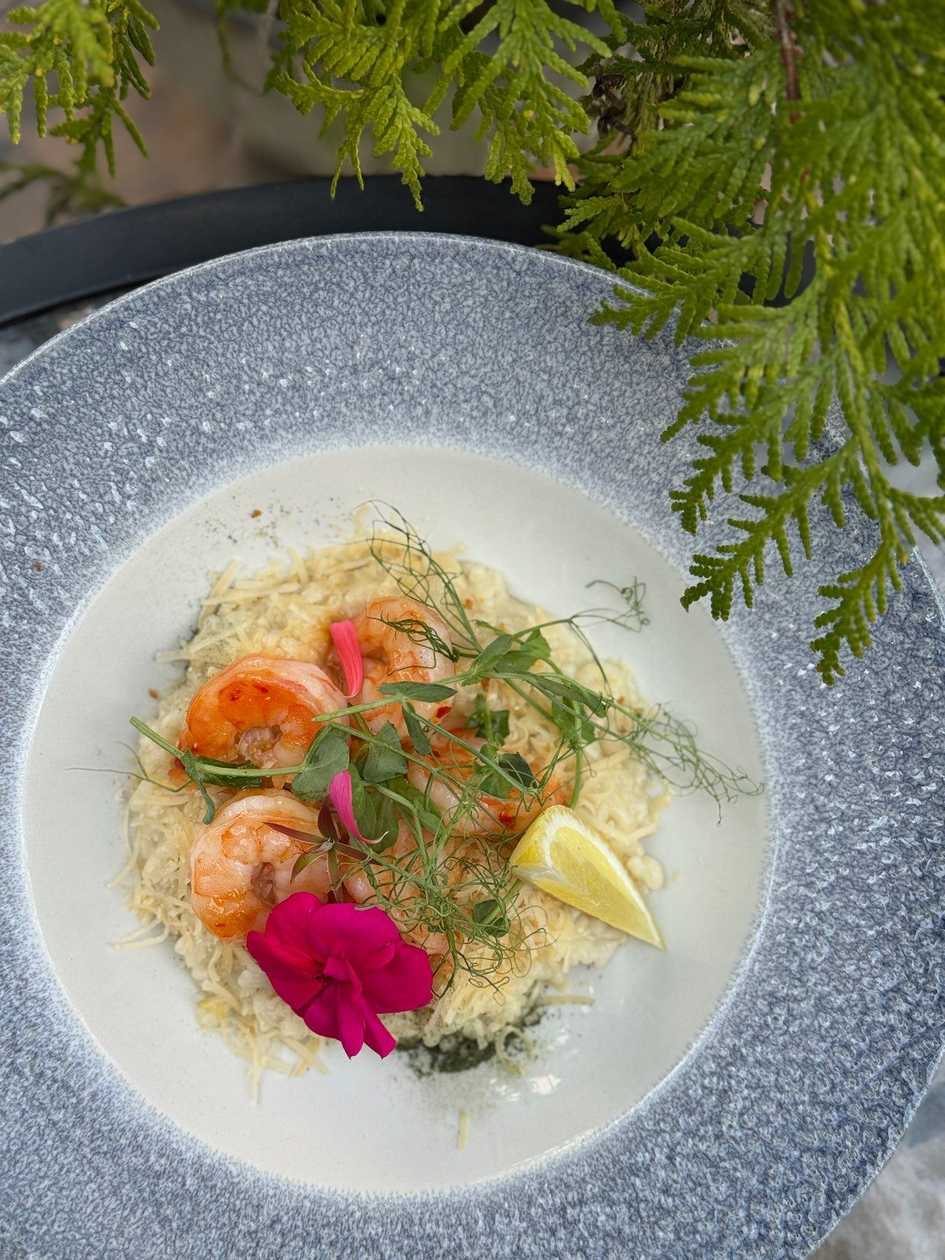 Rice noodles with smoky oyster mushrooms