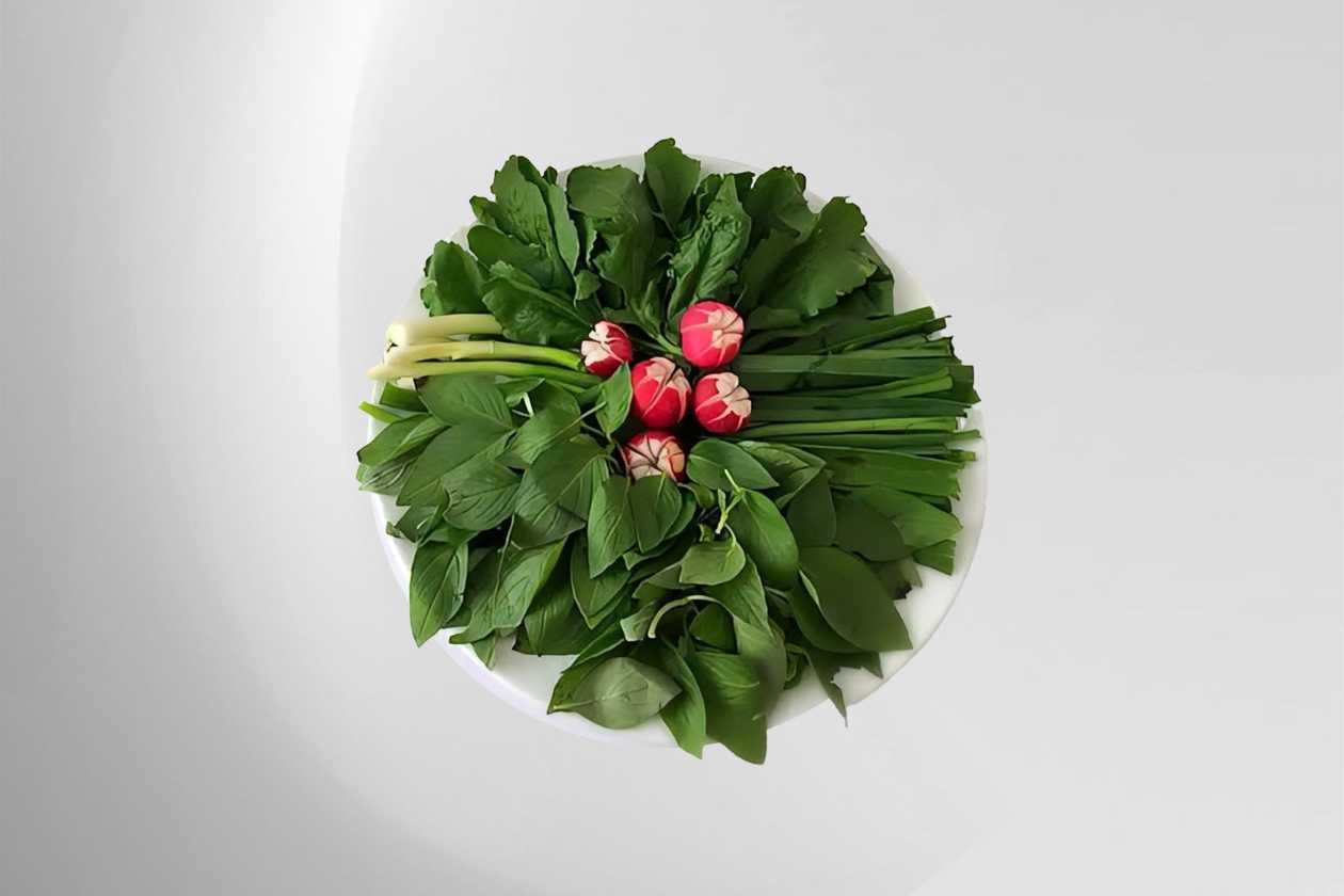 Vegetable Platter(Sabzi Khordan)