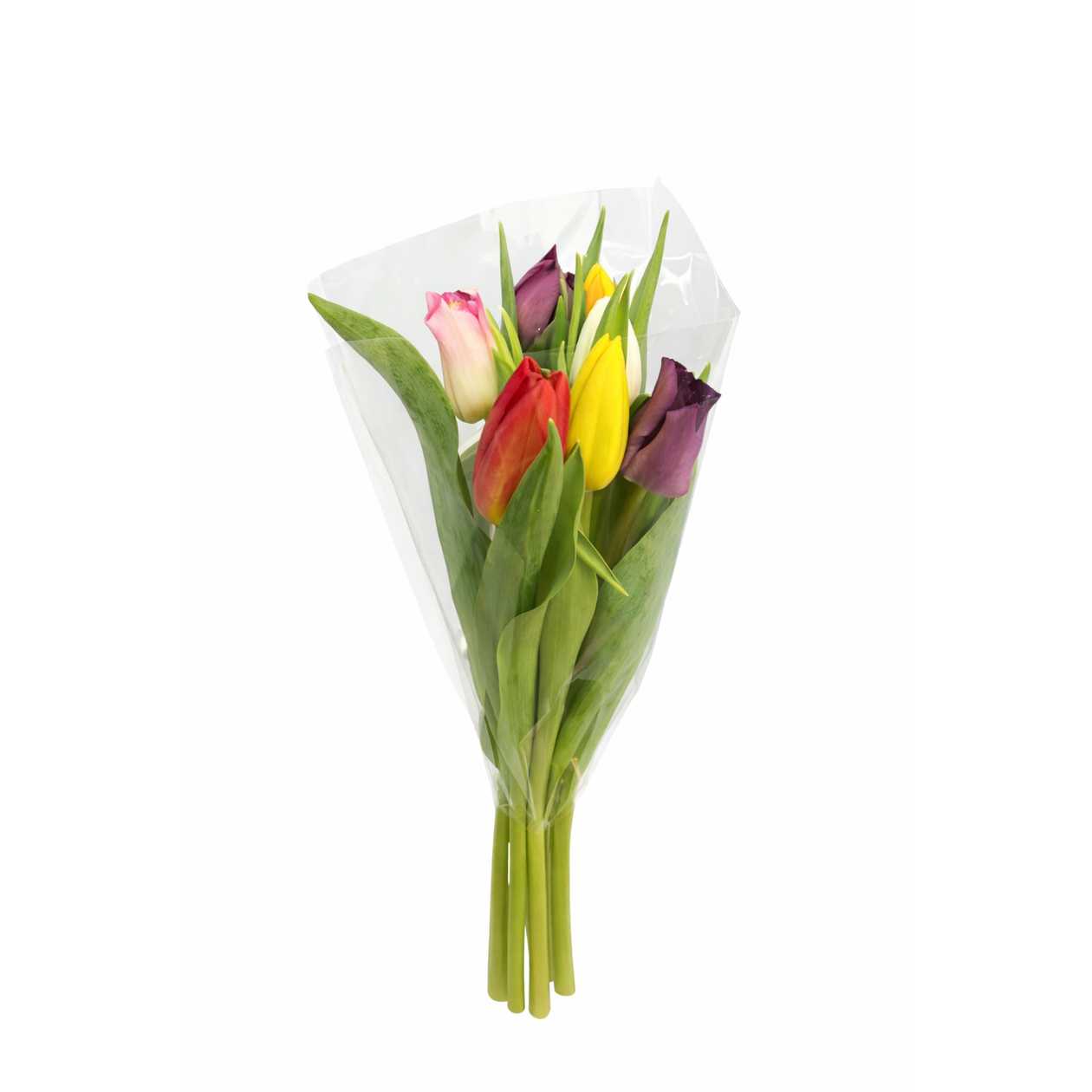 Tulips bouquet, 7pcs (expires soon)