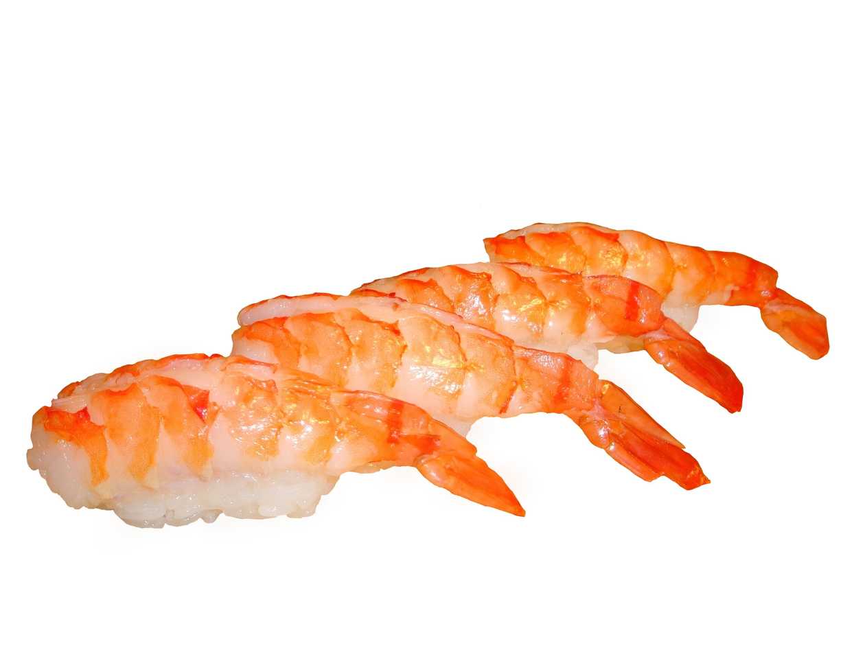 Nigiri Ebi