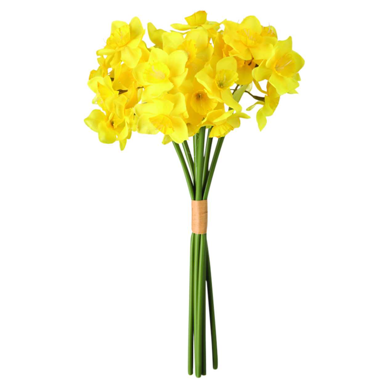 Bouquet of 30 narcis