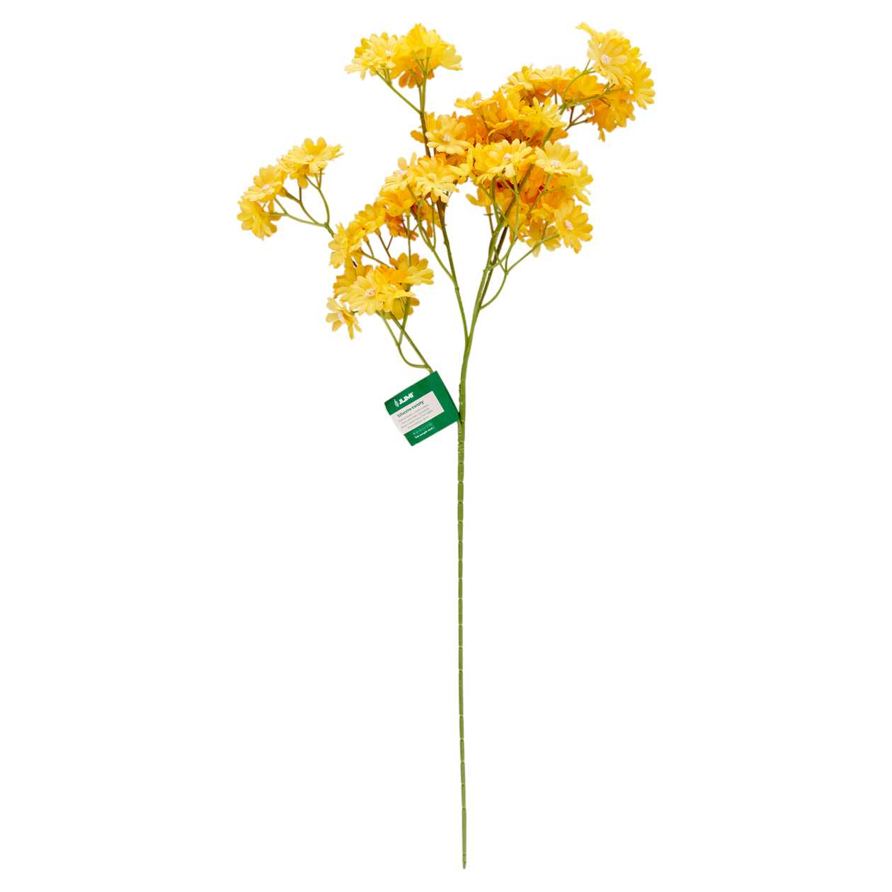 Branch of spring flo