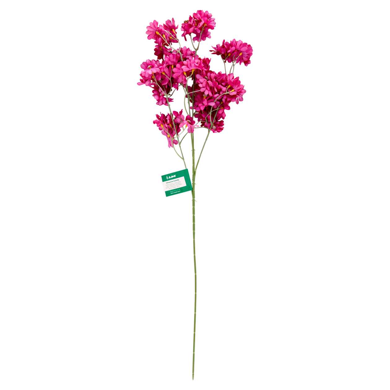Branch of spring flo