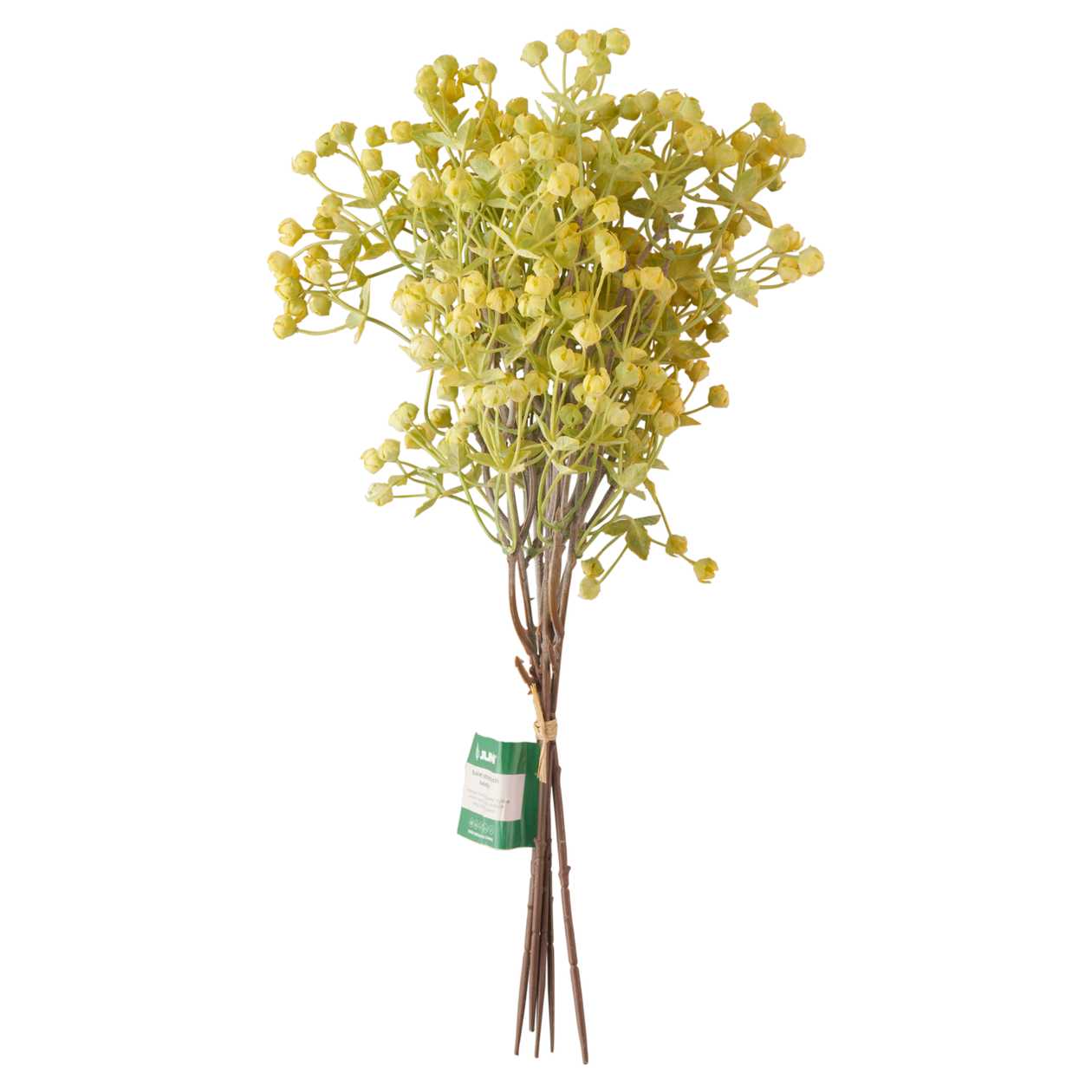 Gypsophila bouquet,