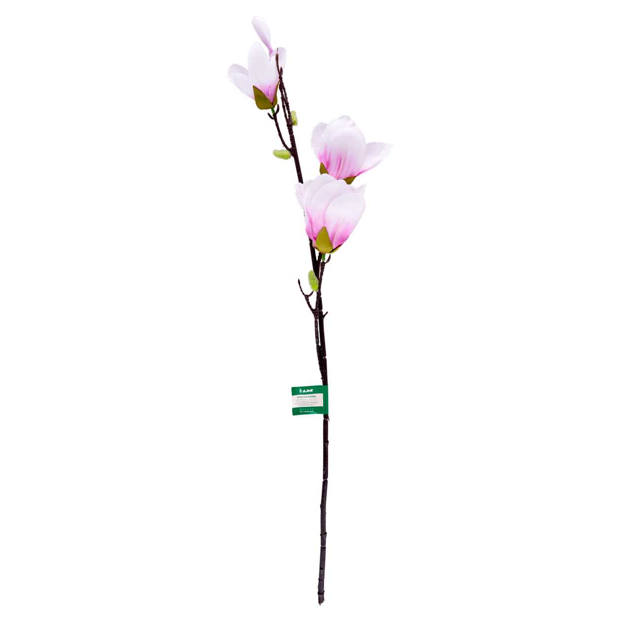Magnolia branch 82cm