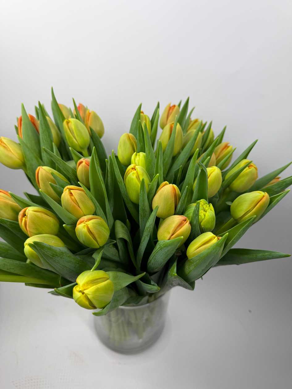 Icon Tulips