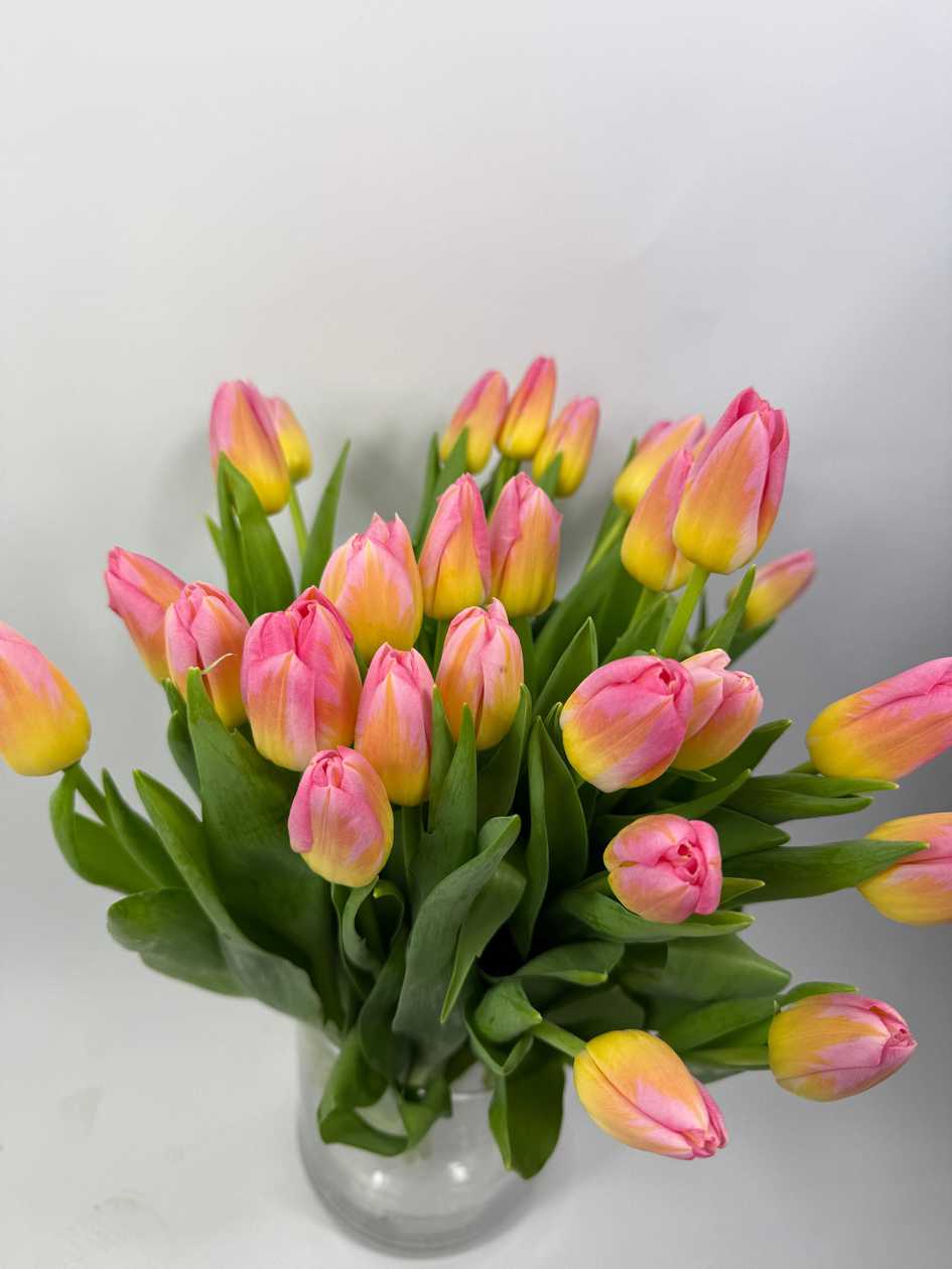 Barbiii Tulips