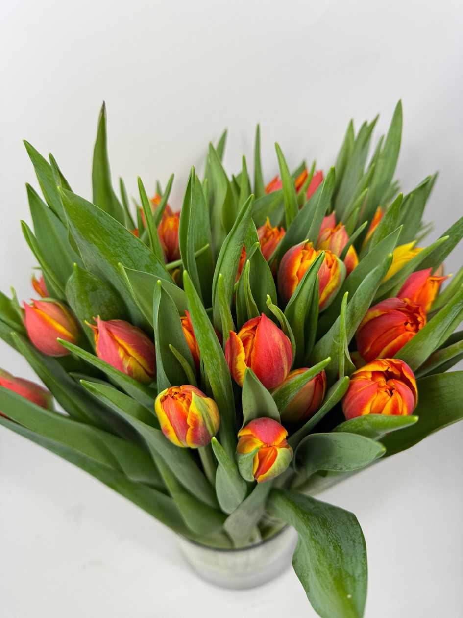 Orange Yellow Tulips