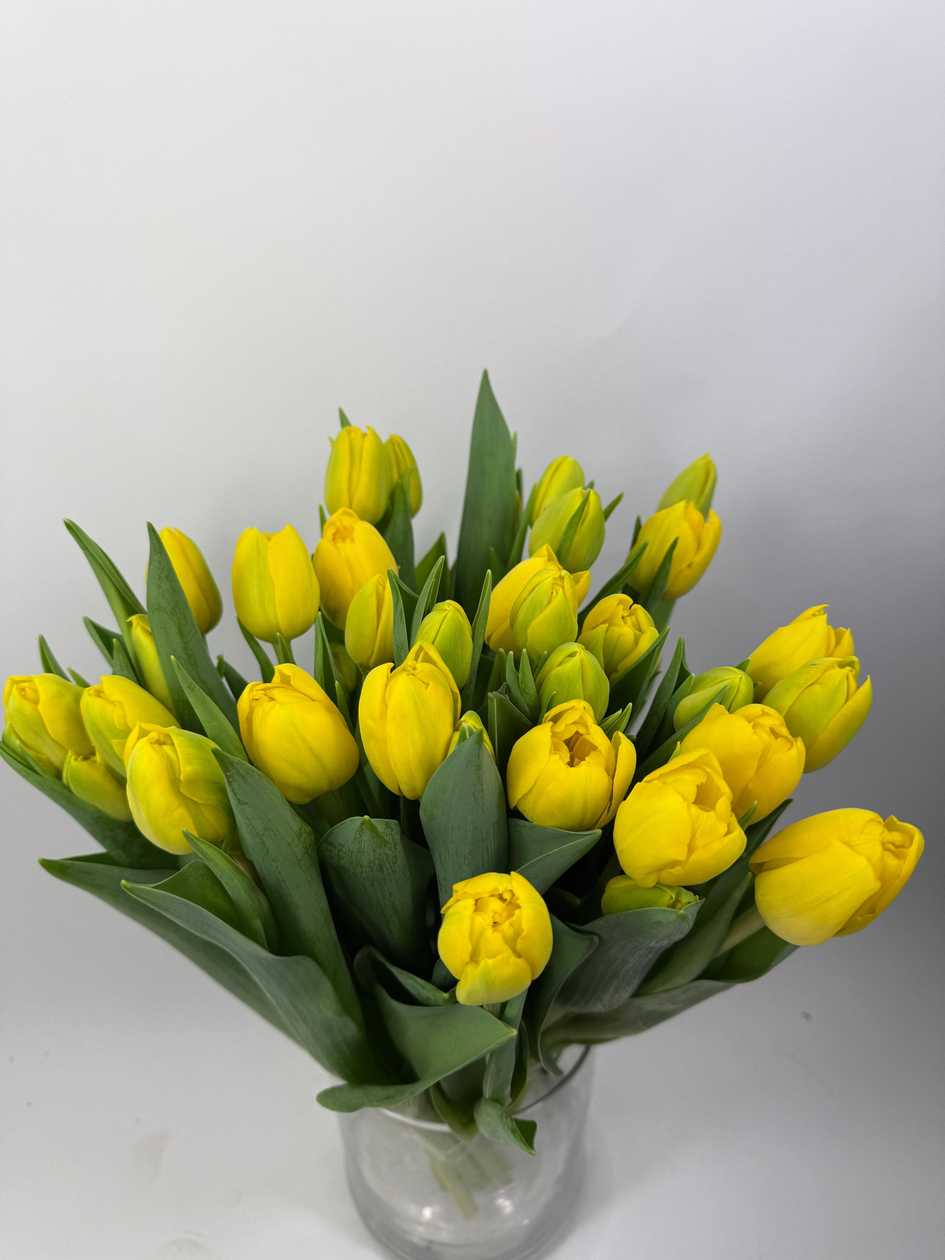 Double Trouble Tulips