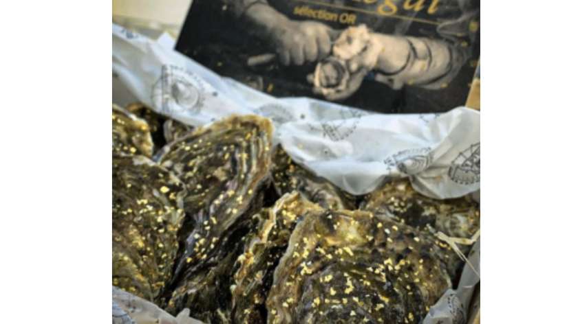 ostryga ostra regal z艂ota nr 2 (1szt)