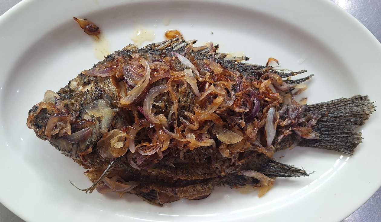 Fish Tilapia whole deep fried with onions.