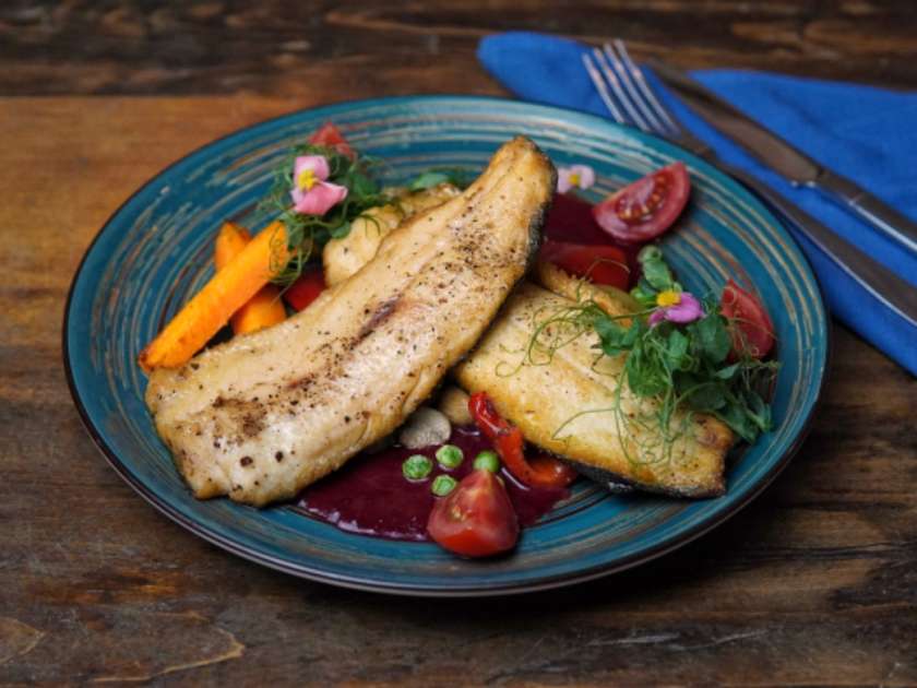 კალმახი / Trout