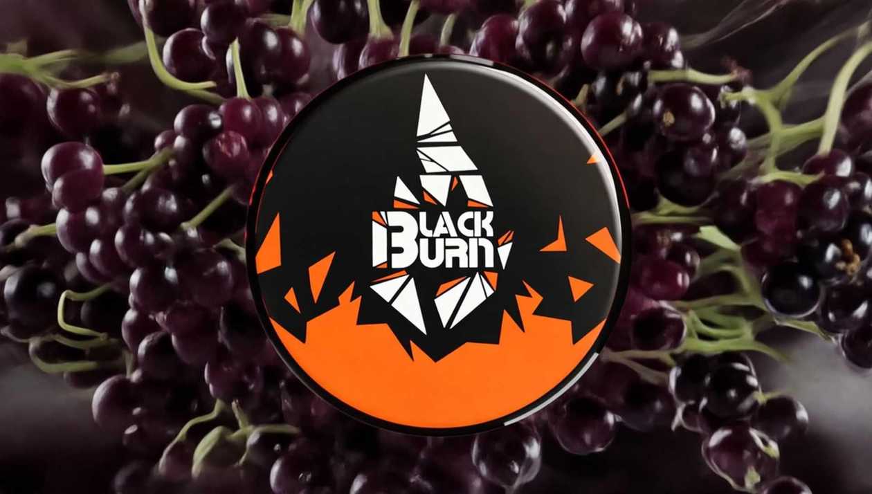 Blackburn  Elderberry Shock  25qr