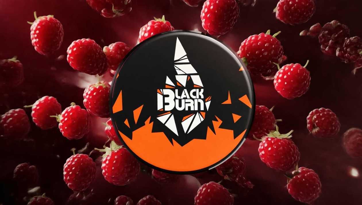 Blackburn  Barberry Shock  25qr