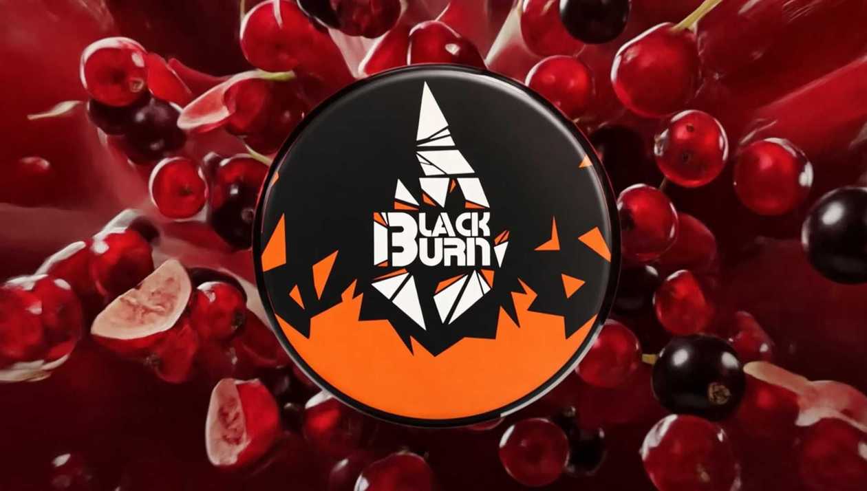 Blackburn  Red Currant 25qr