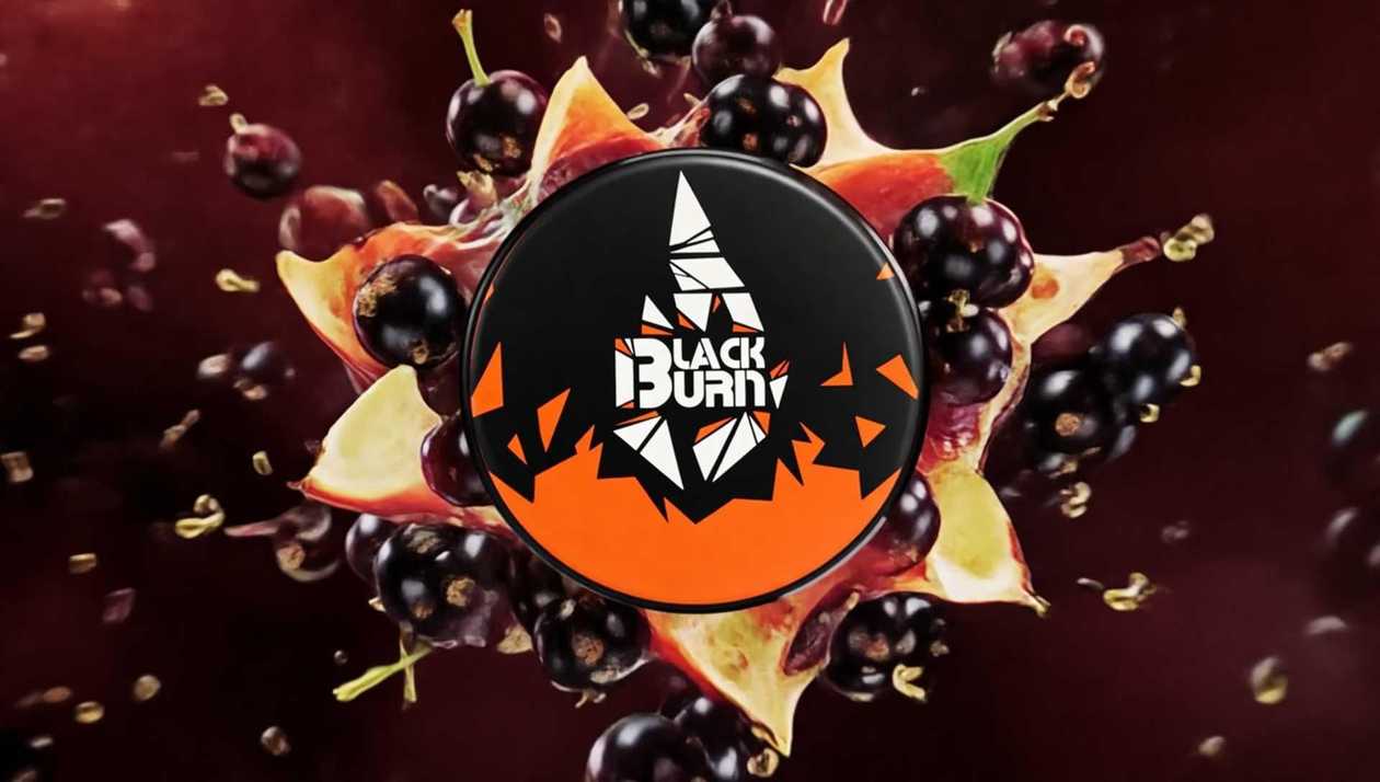 Blackburn Currant Shock  25qr