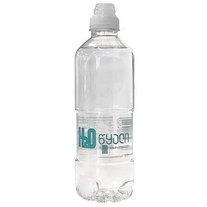 Natural Mineral Sports/Children's H2O Water with Low Mineralization 0.5L #1