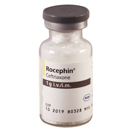 Rocefin Powder for Injection Solution Preparation 1000mg Vial #1