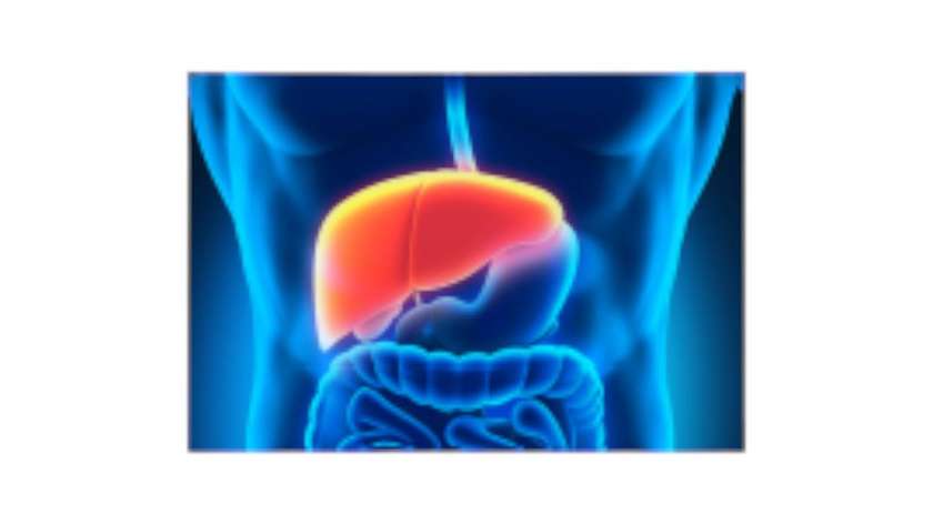 Hepatac  Tab 30