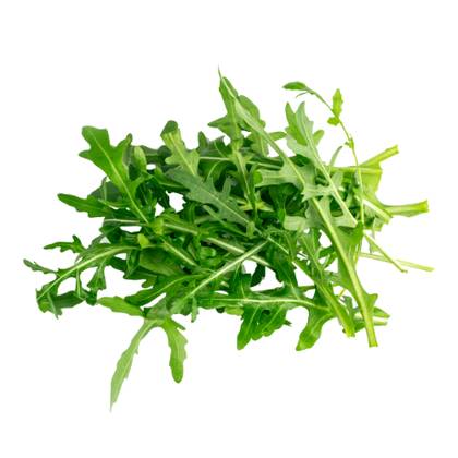 Rucola Extra