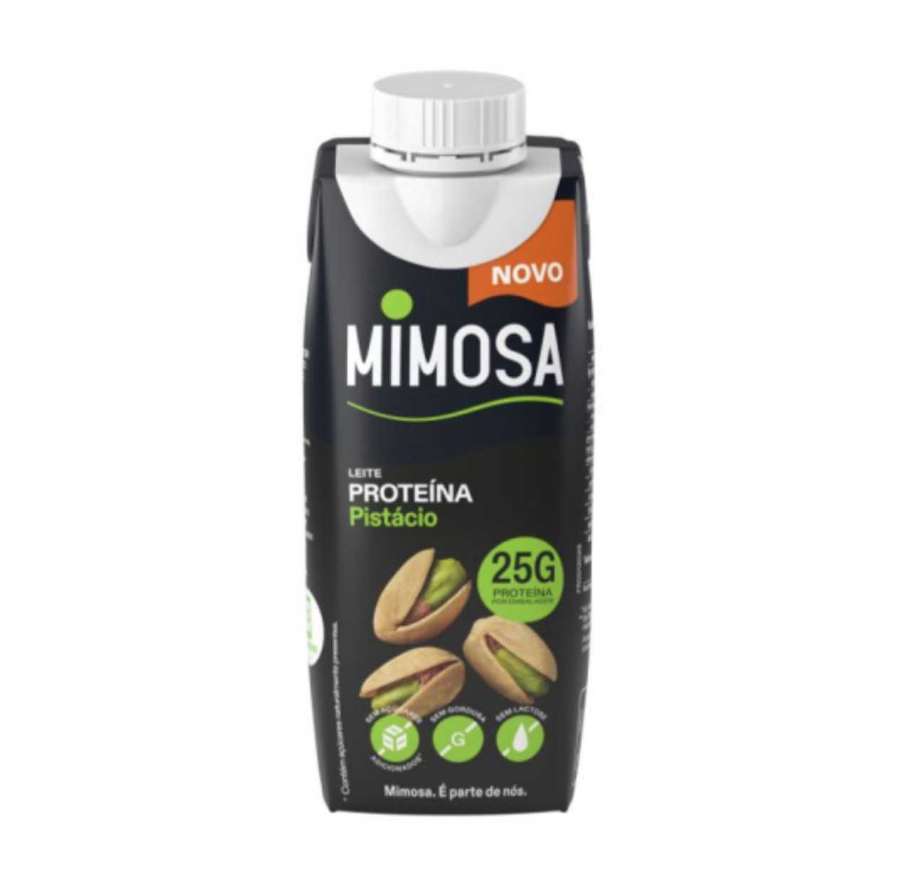 Leite Proteína Pistácio 250ml