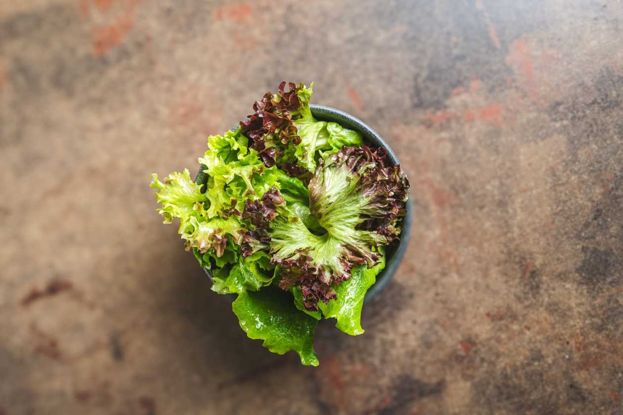 Salata verde cu dressing fresh de lamaie