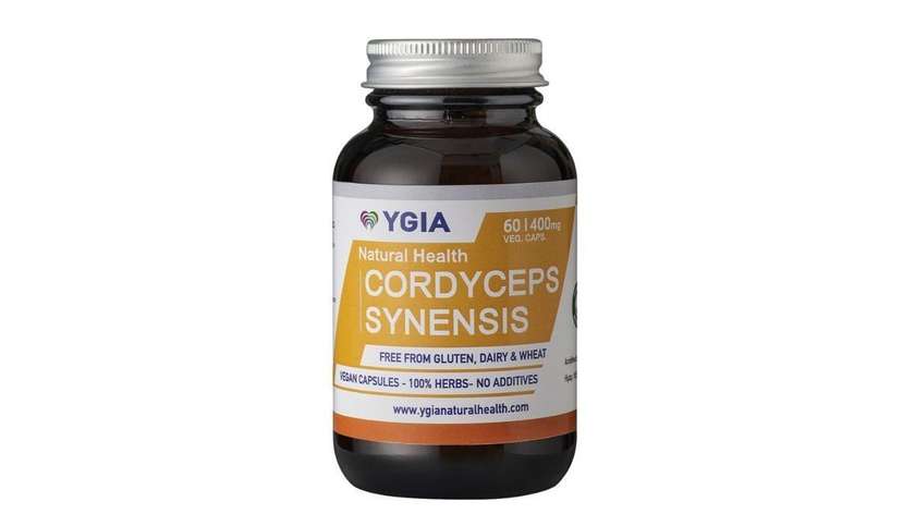 Ygia Cordyceps Sinensis